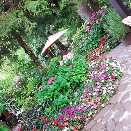 Albergo La Baita Corfino Εξωτερικό φωτογραφία