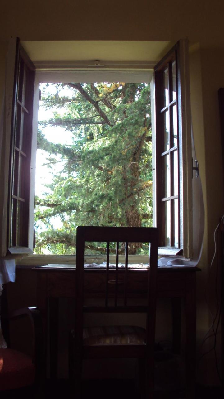 Albergo La Baita Corfino Δωμάτιο φωτογραφία
