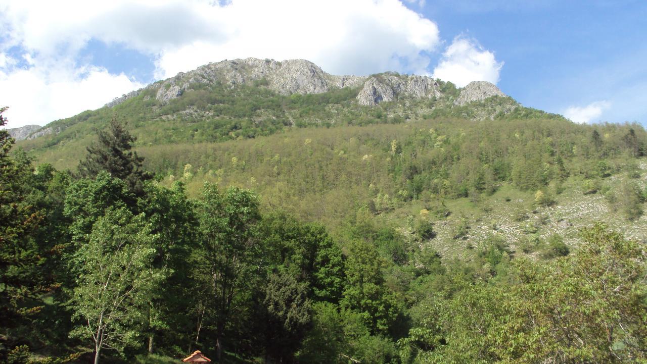 Albergo La Baita Corfino Εξωτερικό φωτογραφία