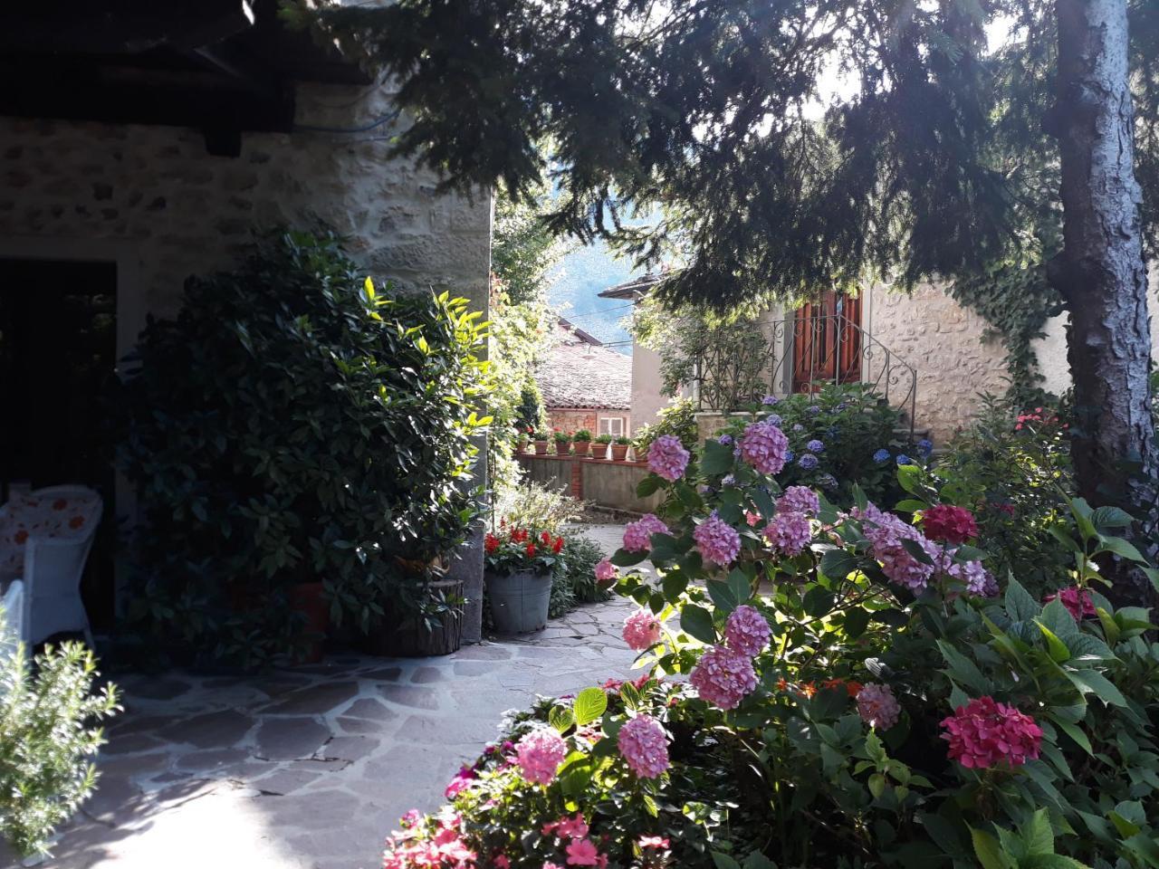 Albergo La Baita Corfino Εξωτερικό φωτογραφία